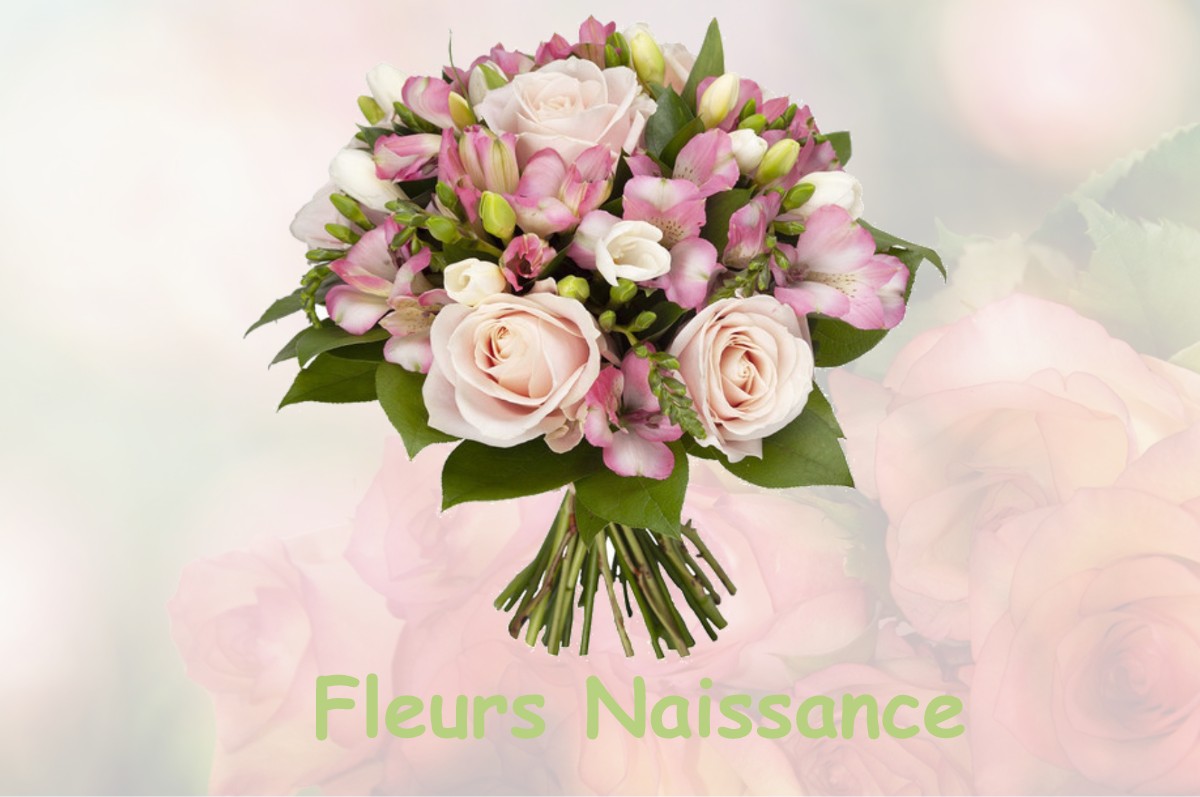 fleurs naissance SAINT-PIERRE-LA-BRUYERE